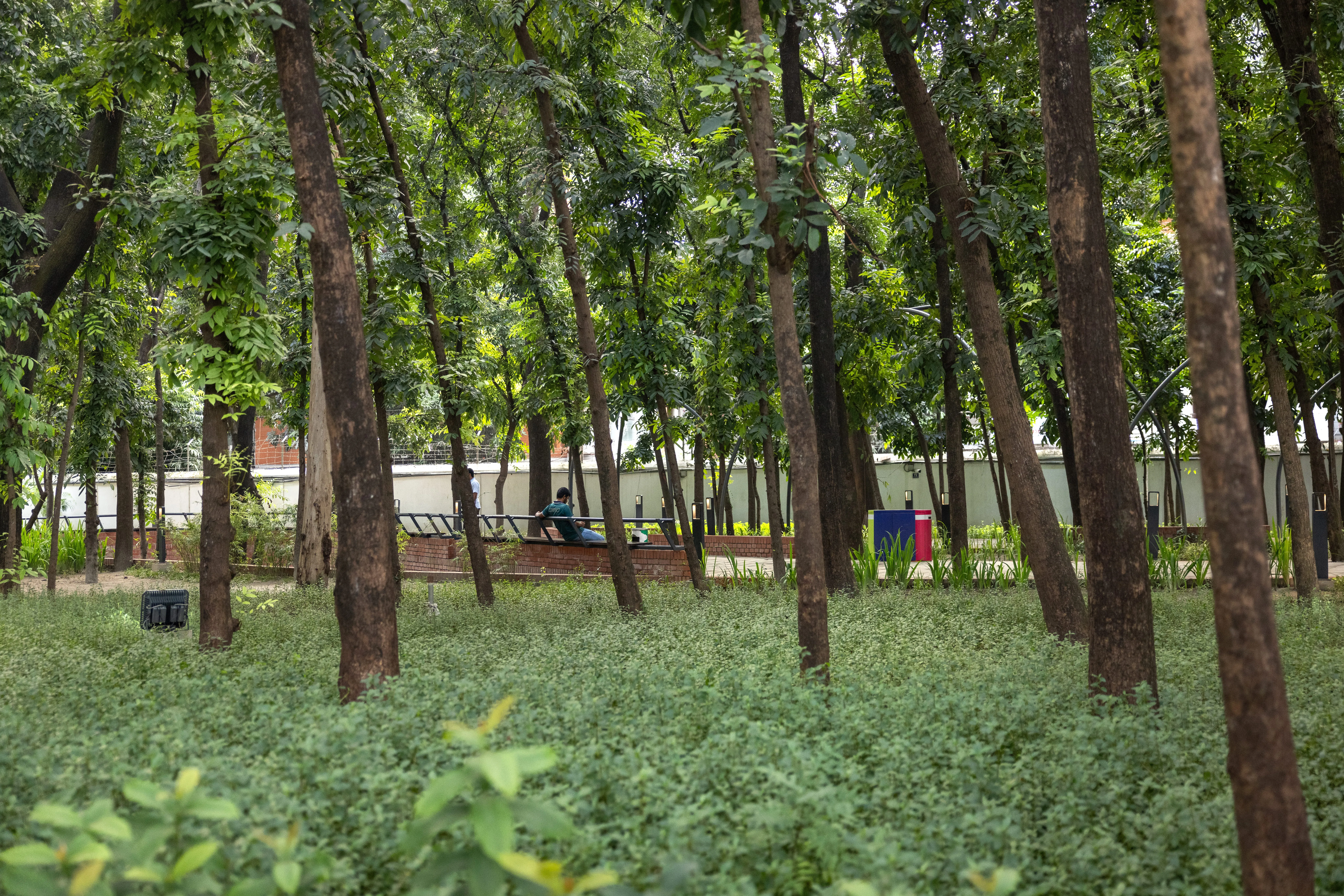 From Industrial Wasteland to Ecological Oasis
